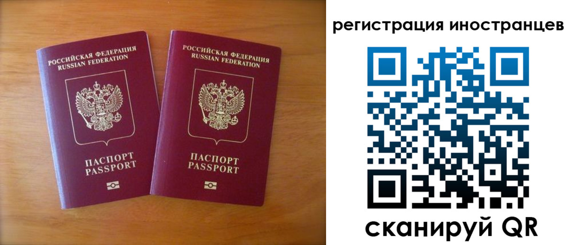 прописка поиск в Болотном